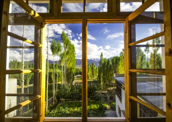 Wood Window Replacement in Azle