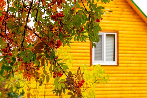 Garden Window Replacement in Azle